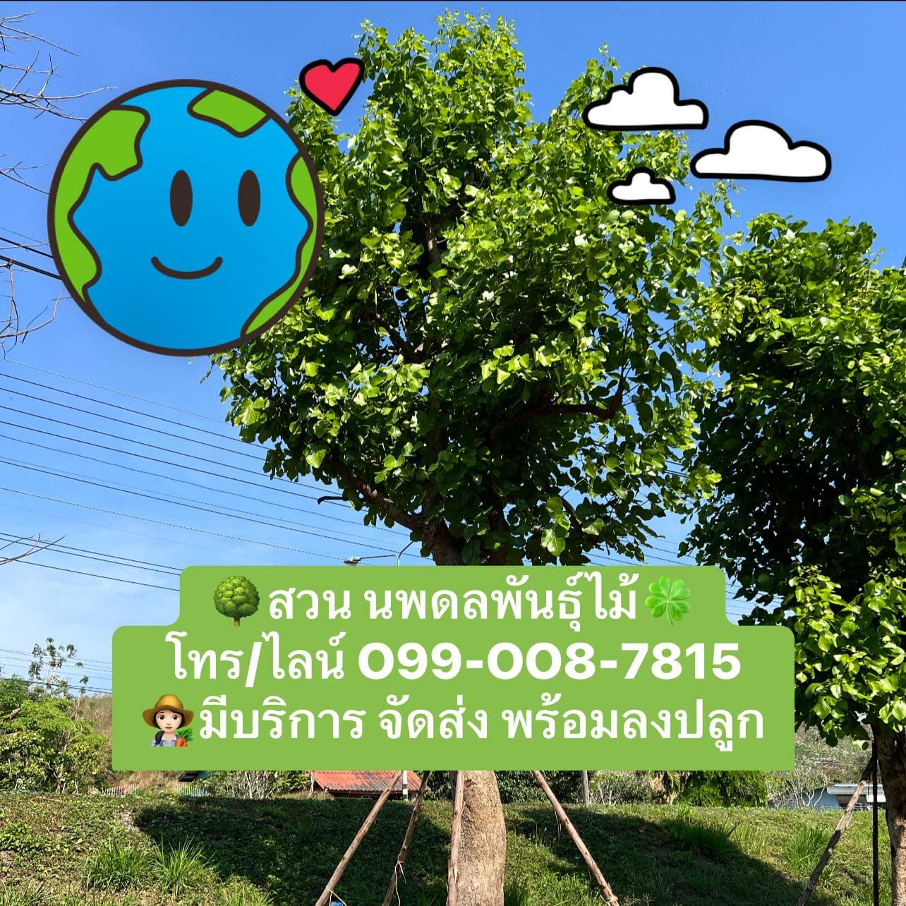  สวนนพดลพันธุ์ไม้