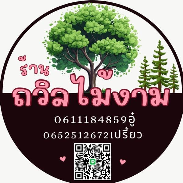 ร้านถวิลไม้งาม – ตลาดต้นไม้รัญญสิริ คลอง 6
