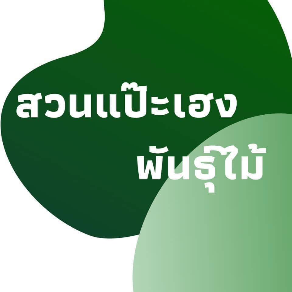 สวนแป๊ะเฮงพันธุ์ไม้
