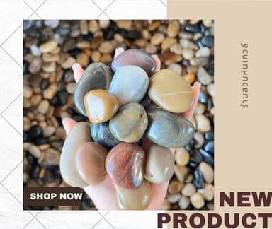 หินคละสี ขนาด 2-3 เซน