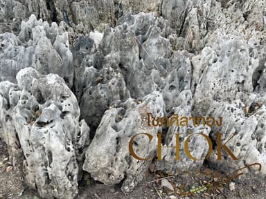 หินฟันม้า