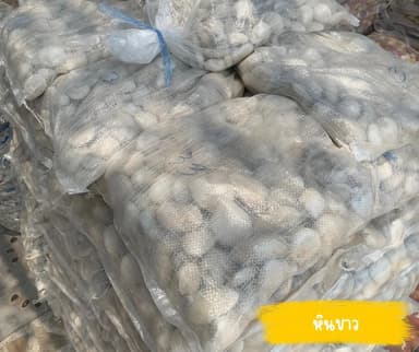 หินตกแต่งสวนหลากสีสัน ราคาเริ่มต้น 40 บาท