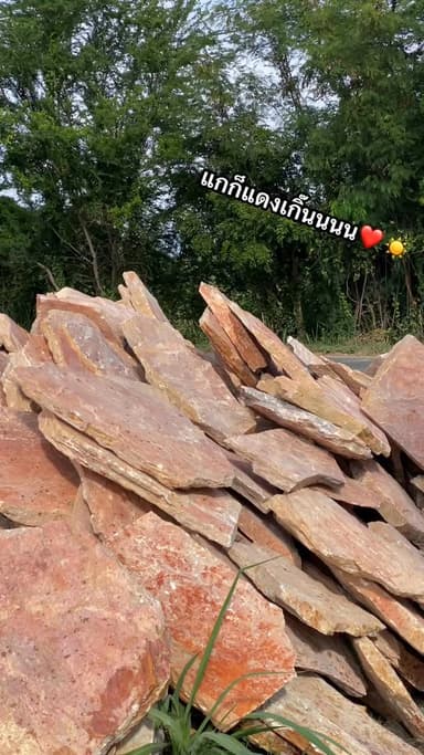 แผ่นทางเดินหินกาบ