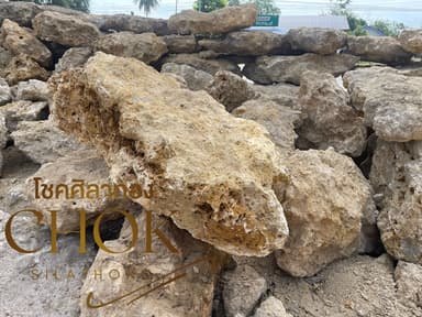 หินฟองน้ำ