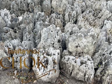 หินปะการัง